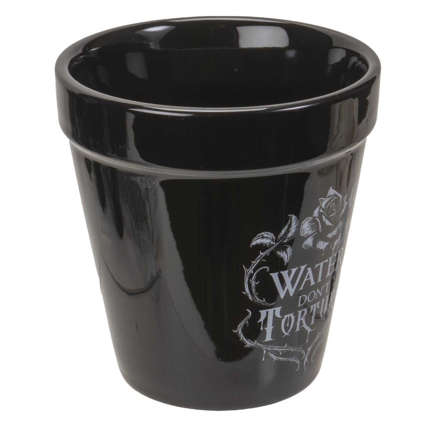 Water Don't Torture Garden Plant Pot