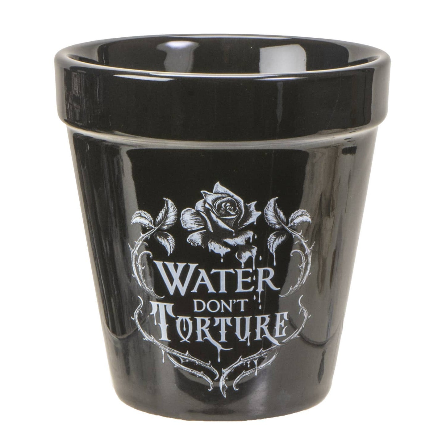 Water Don't Torture Garden Plant Pot