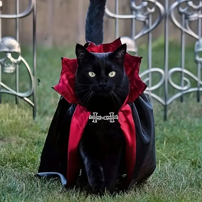 Adorable Pet Vampire Costume